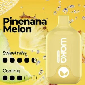 WAKA SMASH PINEANA MELON - 6000 PUFFS