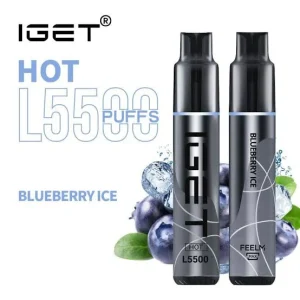 BLUEBERRY ICE – IGET HOT – 5500 PUFFS
