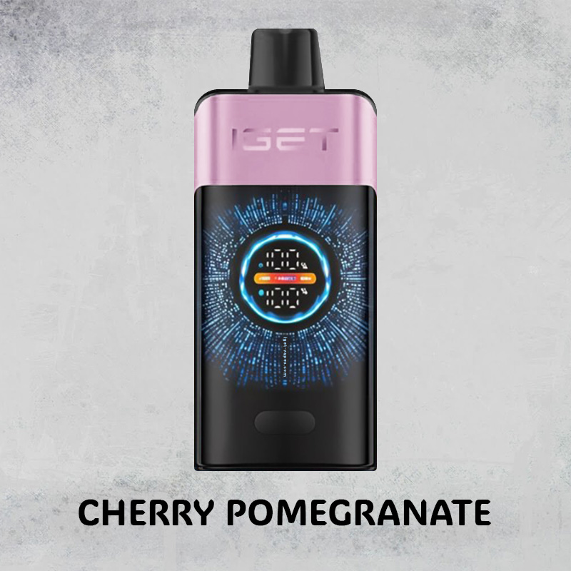 CHERRY POMEGRANATE – IGET ONE – 10000 PUFFS