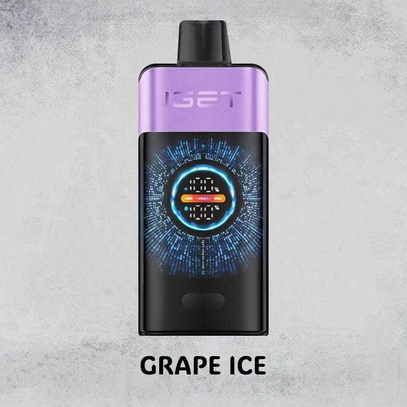 GRAPE ICE – IGET ONE – 10000 PUFFS