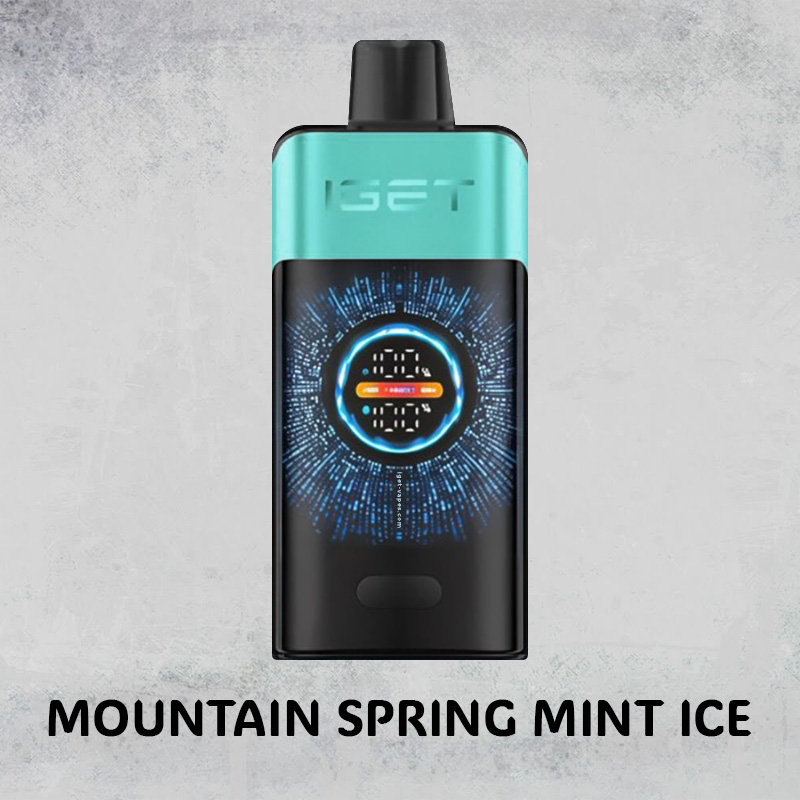 MOUNTAIN SPRING MINT ICE – IGET ONE – 10000 PUFFS