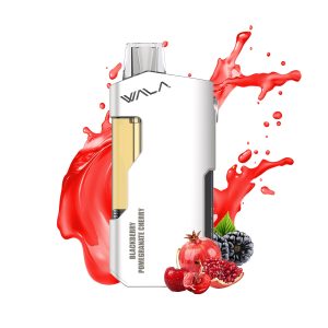 Wala YO 18000 blackberry pomegranate cherry
